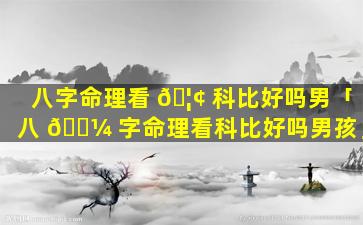 八字命理看 🦢 科比好吗男「八 🌼 字命理看科比好吗男孩」